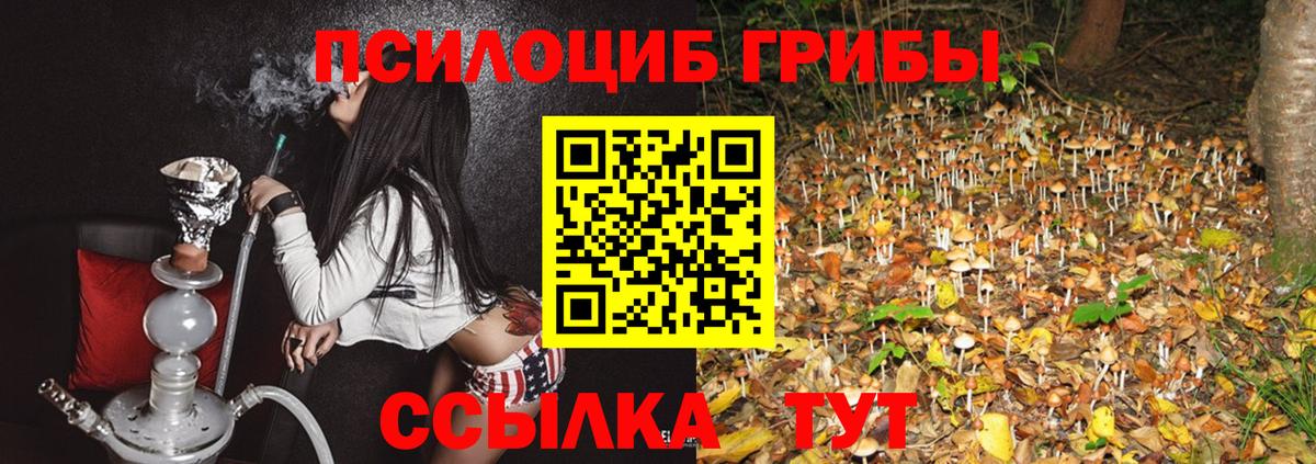 Самара  Галлюциногенные грибы Cubensis  магазин продажи наркотиков  Вход с VPN  Галлюциногенные грибы MAGIC MUSHROOMS 