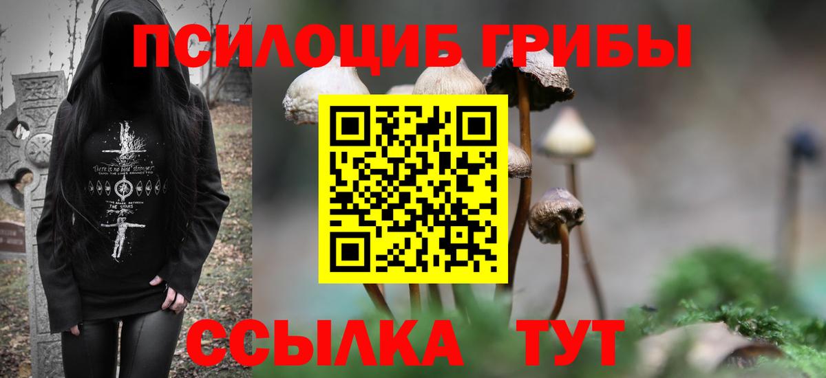 Галлюциногенные грибы Magic Shrooms Самара